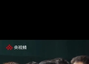 开云体育直播-英国乒乓球队鏖战德国乒乓球队，王皓制霸全场的简单介绍