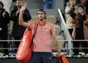 开云体育官网-法网绝杀戴维斯杯，德约科维奇点燃赛场的简单介绍