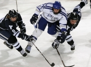 开云体育登录-特奥爆发点燃全场，皇家社会一波流强势带走安哥拉