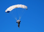 开云体育-维也纳的琴弦与北京的鼓点，当波尔一球定音，两种唯一在乒乓桌上交锋