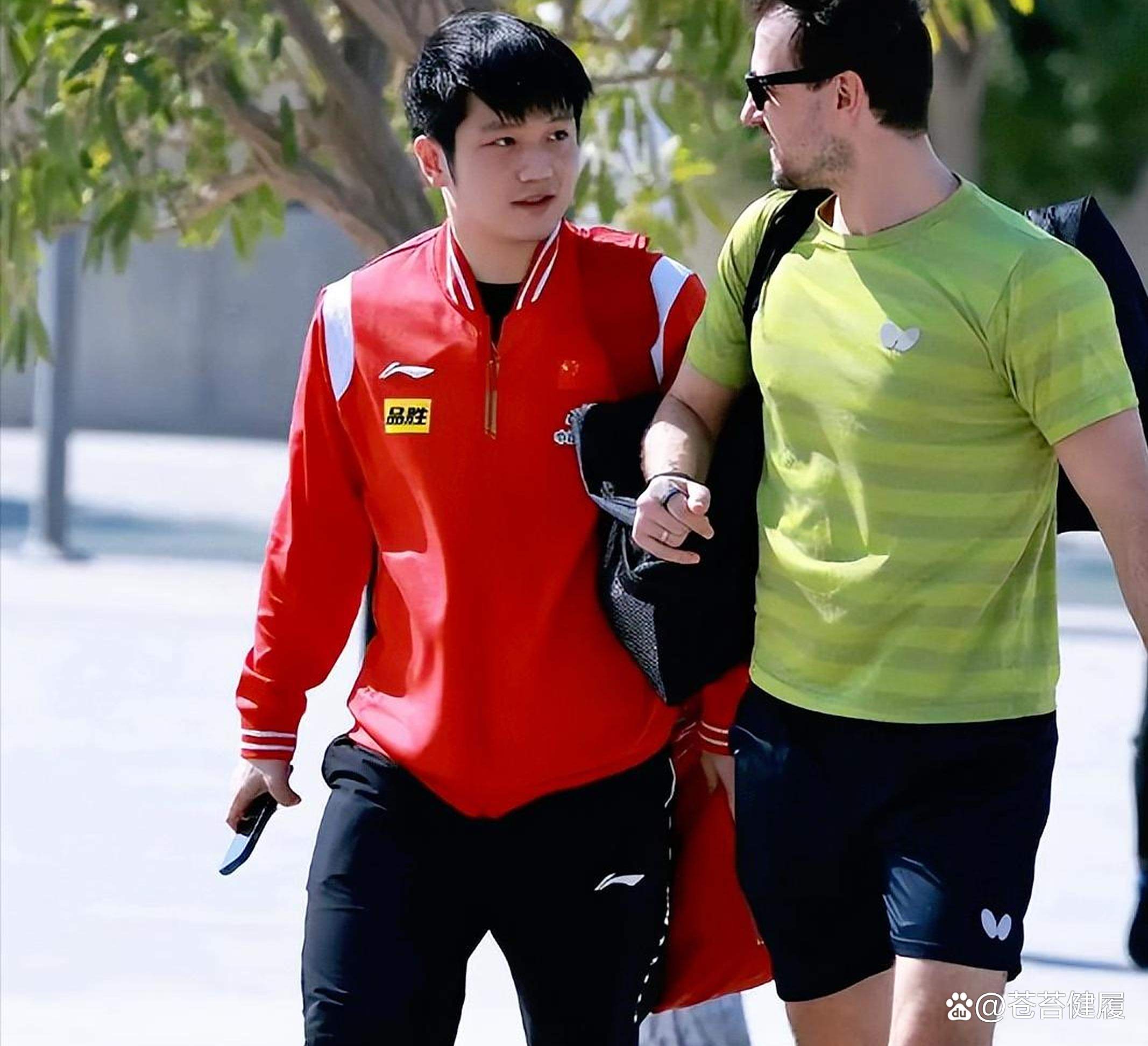 中国乒乓球队翻盘波兰乒乓球队，波尔一己之力扛起全队的简单介绍