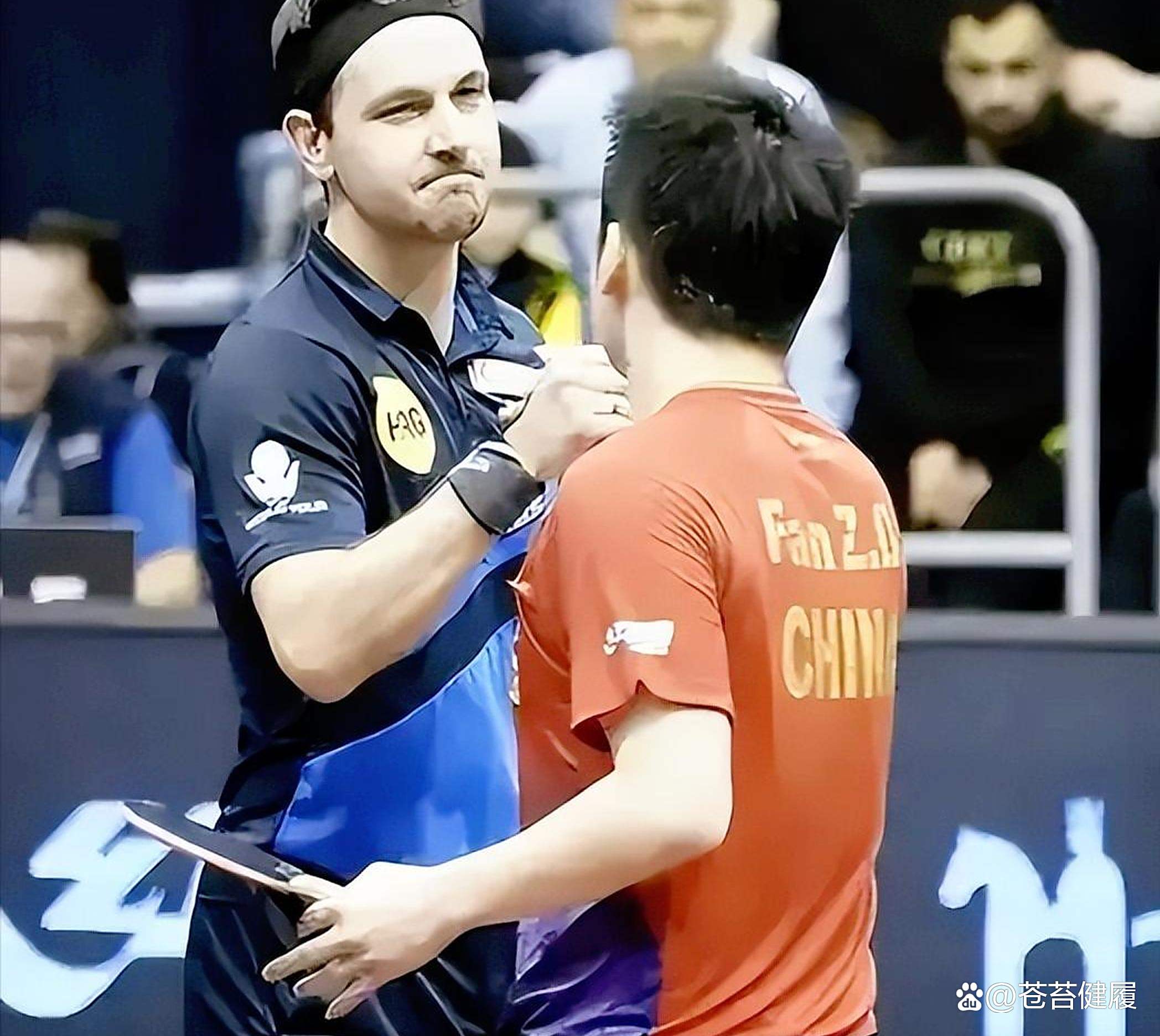 中国乒乓球队翻盘波兰乒乓球队，波尔一己之力扛起全队的简单介绍