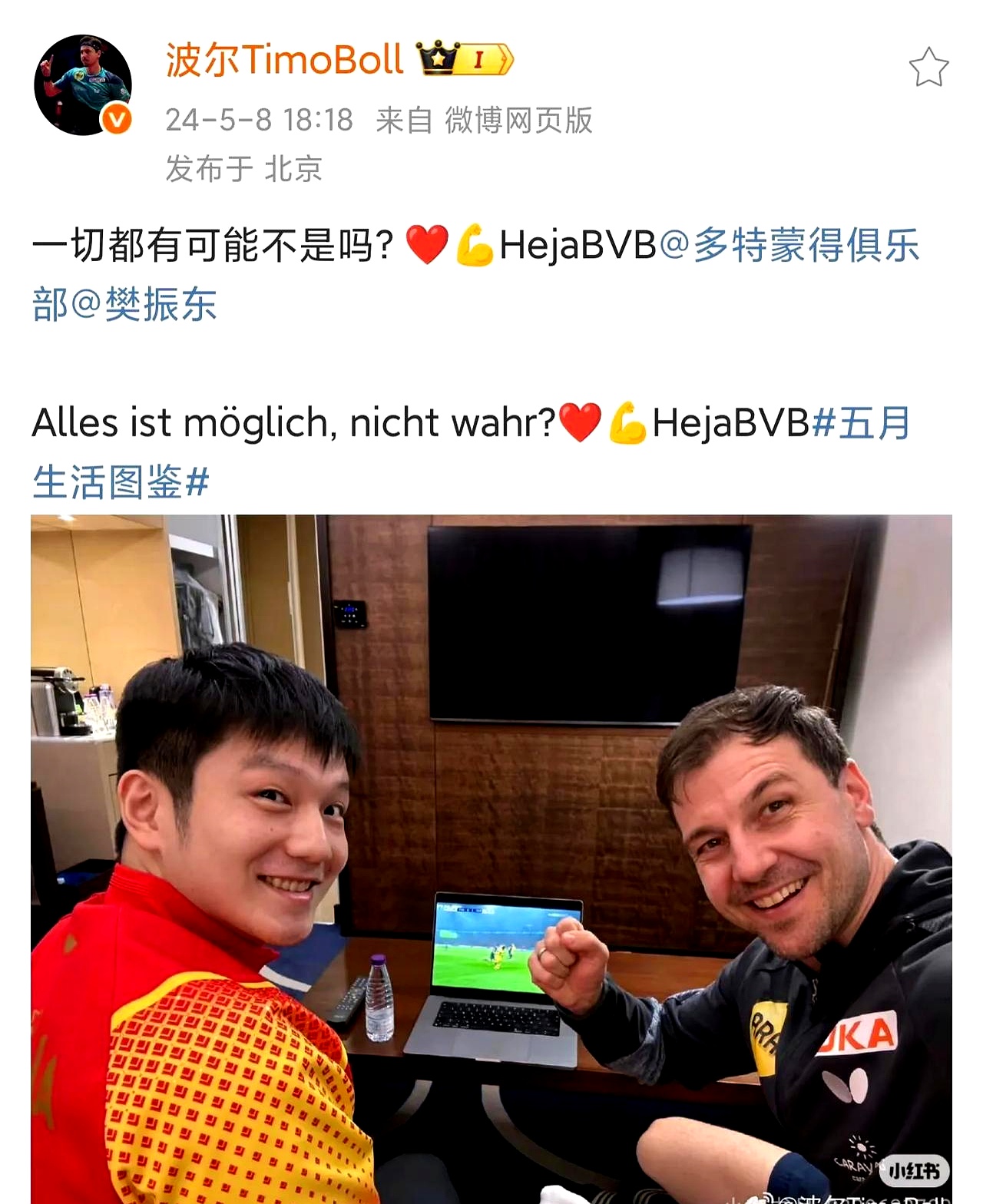 关于德国乒乓球队碾压韩国乒乓球队,波尔统治全场的信息 关于德国乒乓球队碾压韩国乒乓球队,波尔统治全场的信息