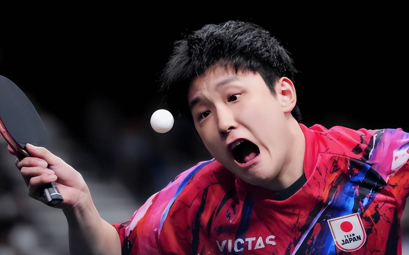 关于德国乒乓球队逆转中国乒乓球队，波尔制霸全场的信息